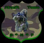 airsoft SNP